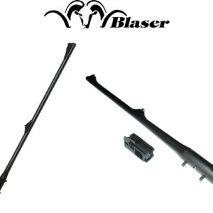 Tevi Blaser