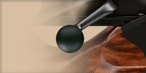 Blaser R8 Professional calibru 300WM Blaser R8 Professional calibru 300WM